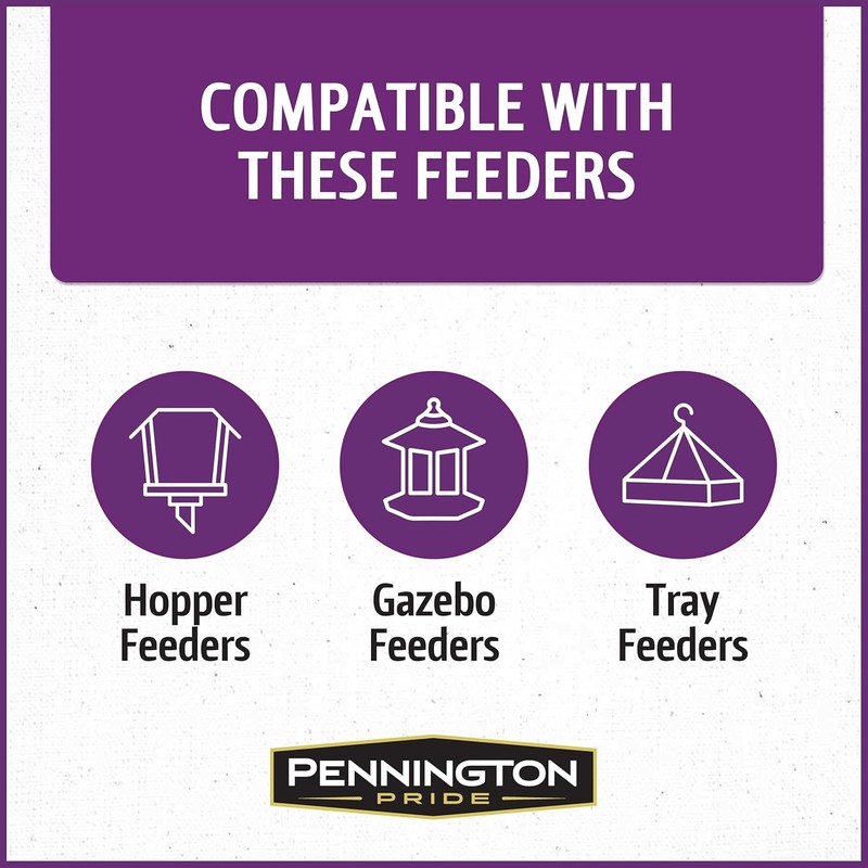 Pennington Pride Songbird Nut & Fruit Blend, Wild Bird Seed for Outside Feeders, gallery