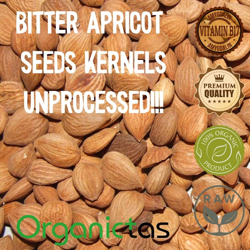 Premium Quality BITTER APRICOT SEEDS for Sale - 200 g / 7.10 oz. TOP gallery