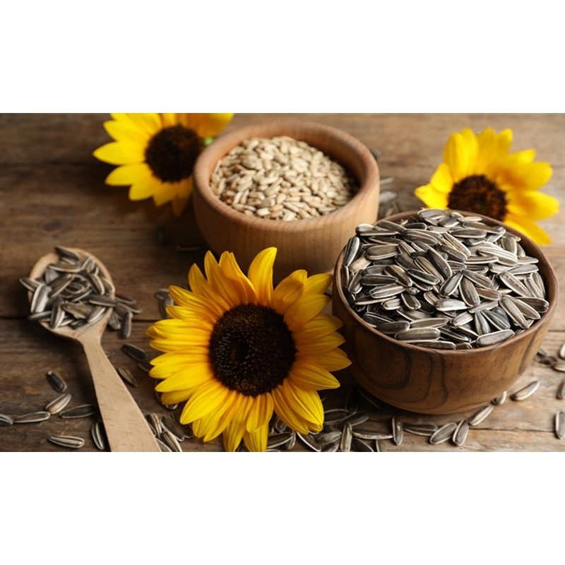 Organic Dry Roasted Sunflower Seeds, Non-GMO Verified - for Cooking and Baking gallery
