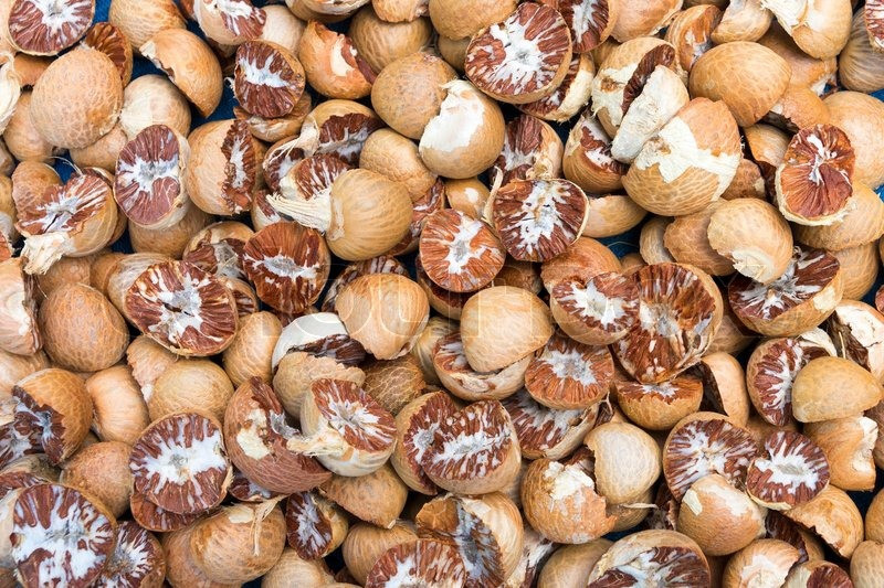 100% Organic new fresh Areca nut Areca catechu betel nut dried nuts whole free gallery