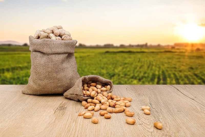 Raw Peanuts for Squirrels & Birds, 96oz (3-pack) gallery
