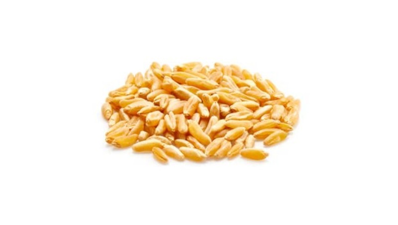 Nutty Organic Kamut Grains, 2.2 lb Non-GMO Pouch for Cooking & Sprouting gallery