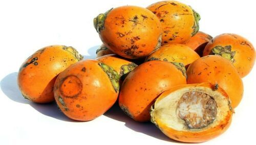 Organic Areca Nuts Natural Fresh & Dried High Quality Ceylon Betal Nuts