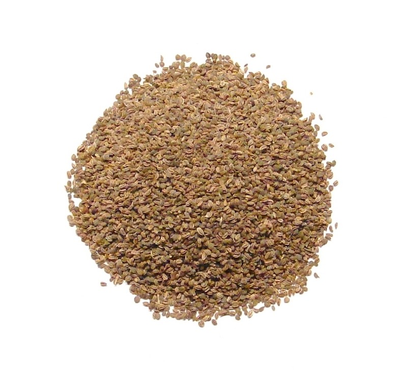 Celery Seeds, Whole – 1 Pound – Bulk Herbs & Spices by Denver Spice®