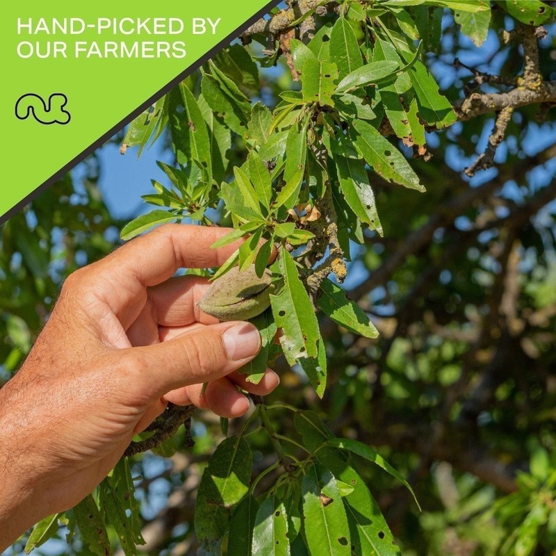 Nut Cravings - Raw Slivered Almonds, Unsalted, (80oz - 5 LB) Packed Fresh in... gallery