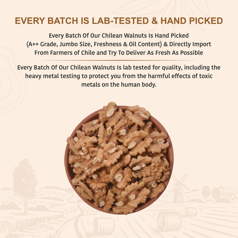 Nutty Organics Dried Walnut 1kg | Crunchy Akhrot | Protein Rich Snack gallery