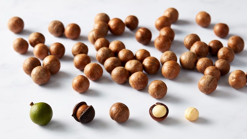 Delicious 10lbs of fresh Hawaiian mac nuts in the shell, whole large kernels gallery
