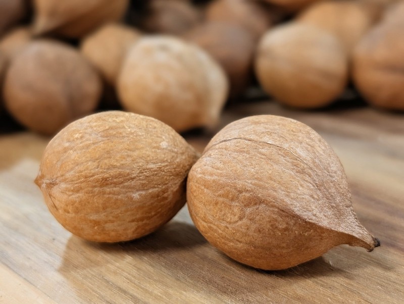 2025 Harvest - 100 Count - Natural Mockernut Hickory Nuts - Southeastern TN gallery