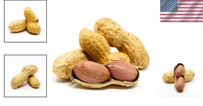 4lb Raw Virginia Peanuts in Shell for Squirrels - Unsalted & Nutritious gallery