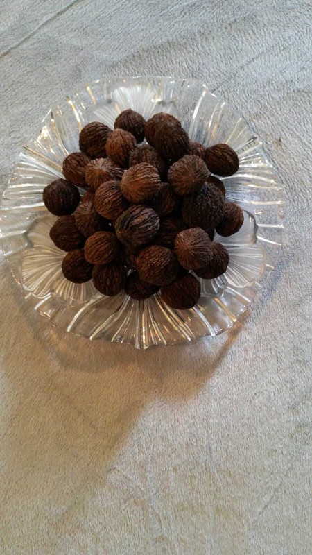 Hulled Black Walnuts Walnut Seed Nut Hull ONE POUND 1LB of Dried Product