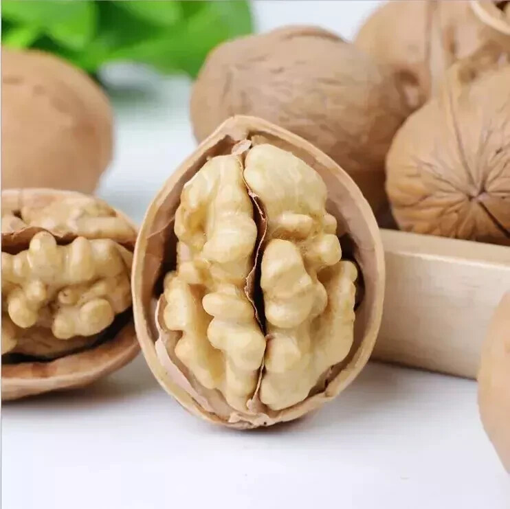 Organic Pecan Pieces Kosher Raw Veg (Akhrot) Dried Food mind booster natural