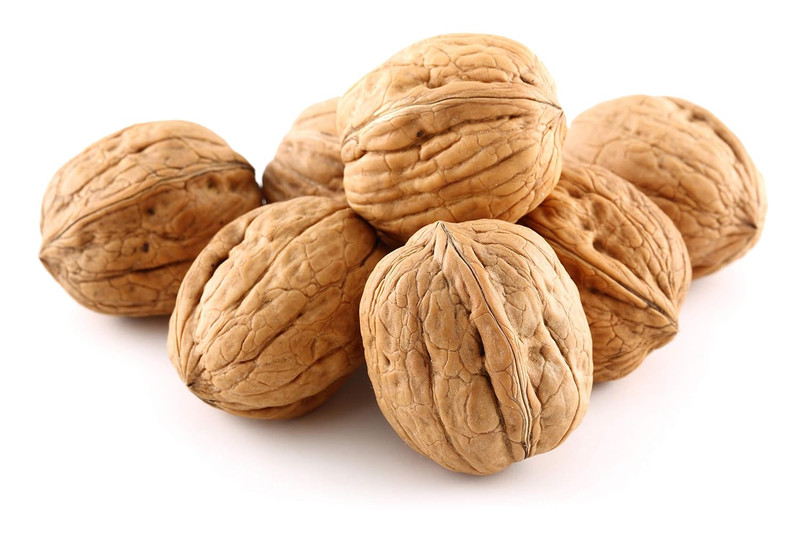 Walnuts in Shell, Jumbo, Fresh, Buttery Taste, Easy to Crack, California Chandle
