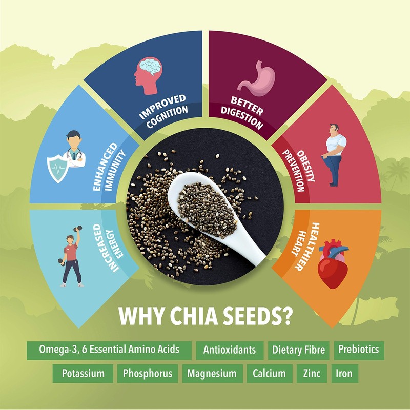 FULSOME - Raw Black Chia Seeds - 100G (Sprinkler Jar)- 2 Units gallery