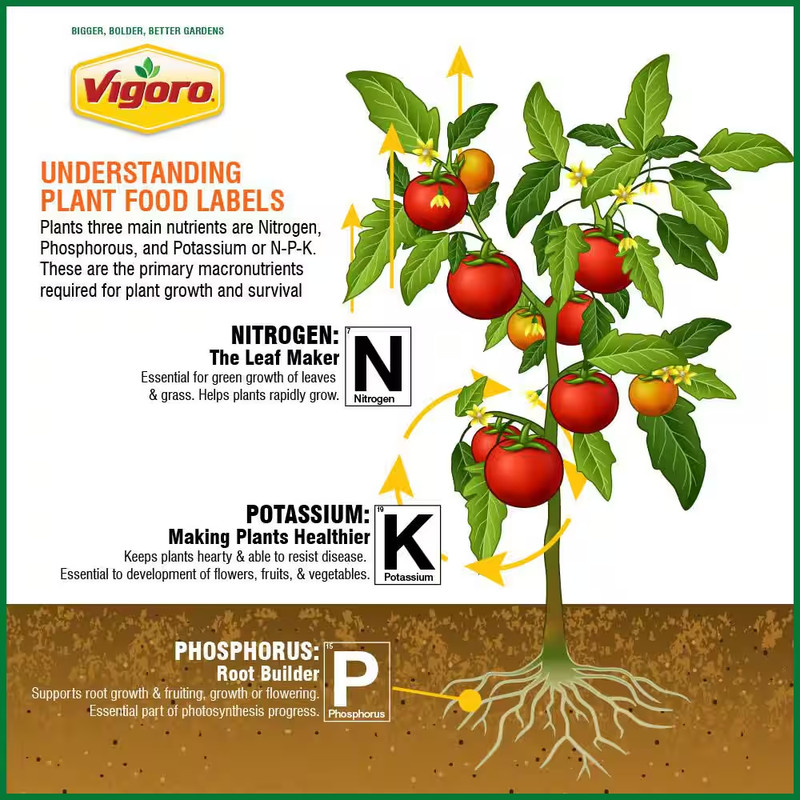 3.27 Lbs. Fruit, Nut, & Citrus Fertilizer Spikes to Promote Vigorous Growth and gallery