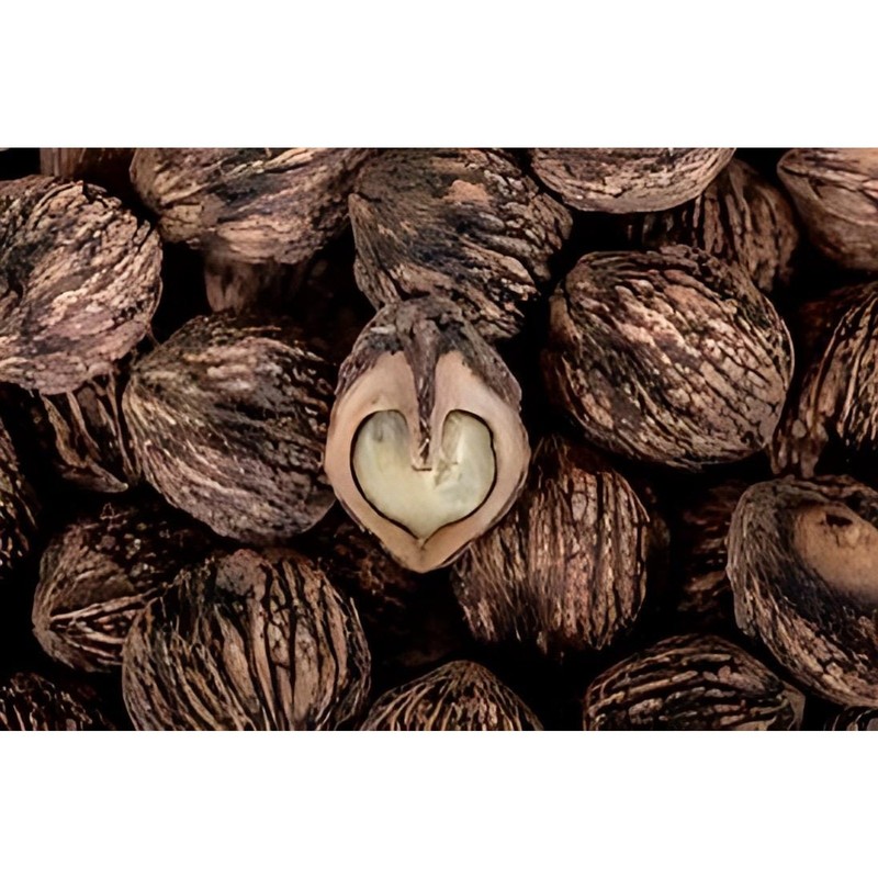 2 lbs of Black Walnuts in shell! Fresh 2024 Indiana crop! No pesticides non gmo.