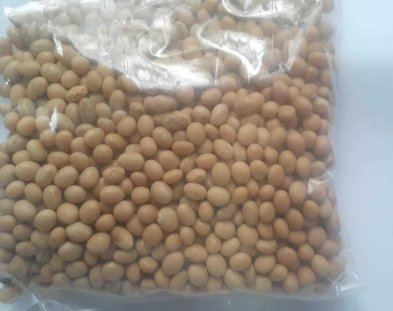 Organic Highly Nutritional Soya Beans For Tofu soy milk making No Preservatives gallery