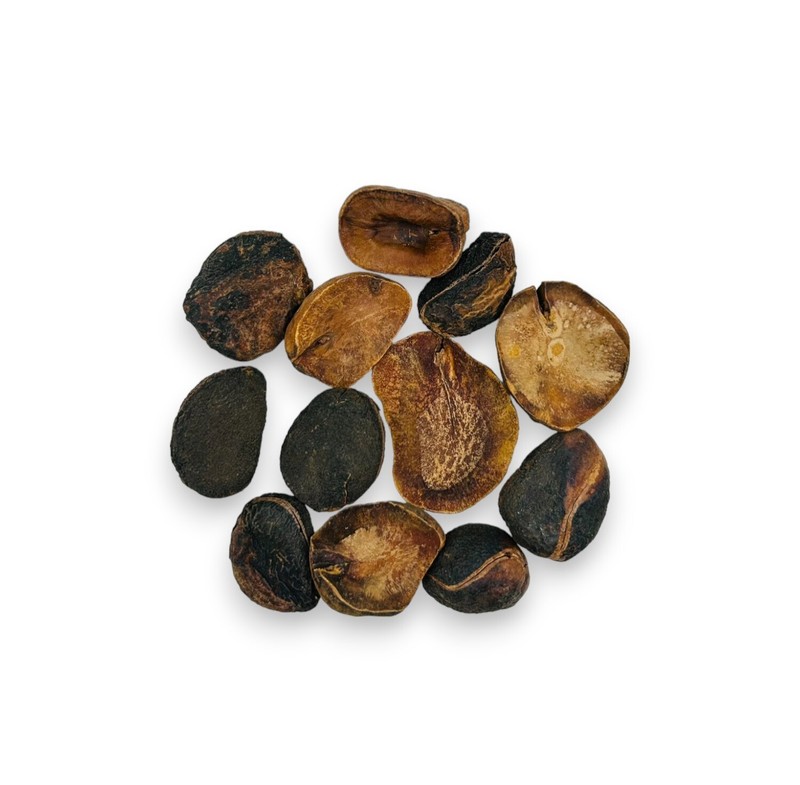Dried Kola Nuts - 460 Grams (16.3 oz) - Premium Quality Cola Acuminata gallery