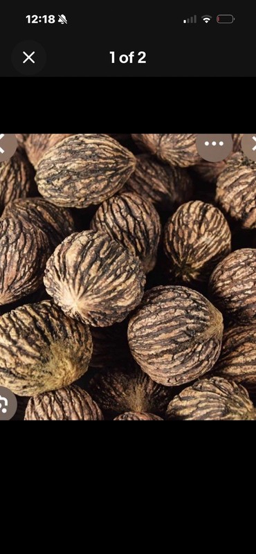 20 Lbs Black Walnuts hulled, in shell fresh harvest 2025, TN Non GMO, ORGANIC