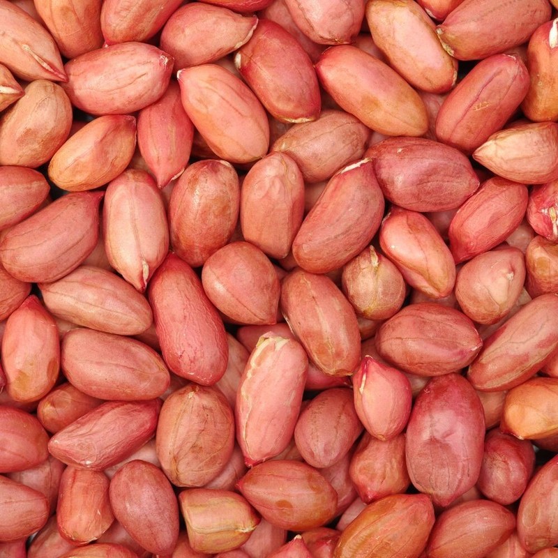 Red Skin Peanuts Natural Organic Raw Whole Unsalted Peanut from Sri Lanka 5 oz gallery