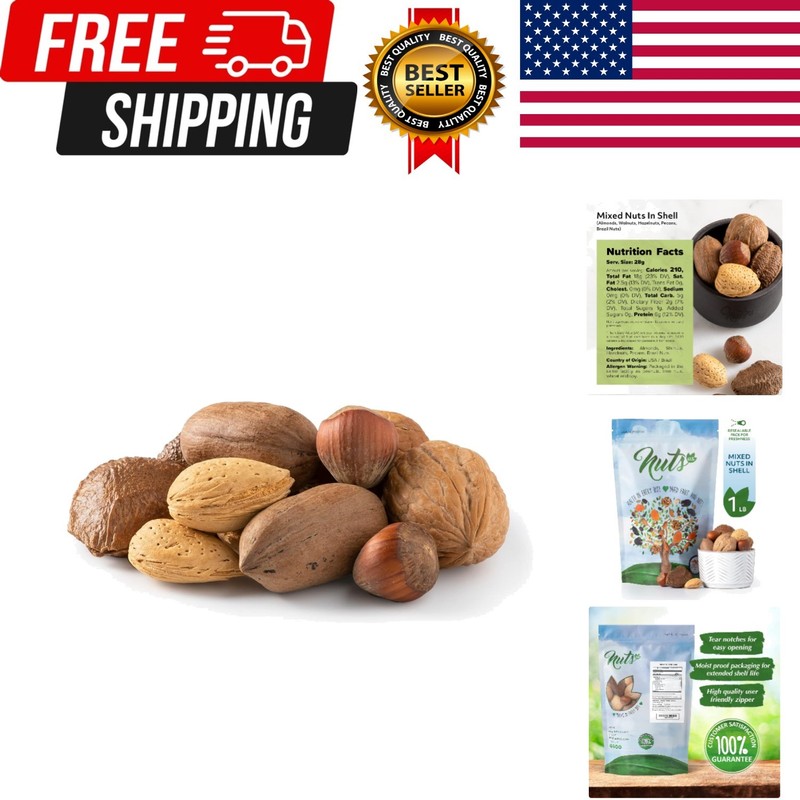NUTS U.S. – Mixed Nuts In Shell Almonds, Walnuts, Hazelnuts, Pecans, Brazil N…