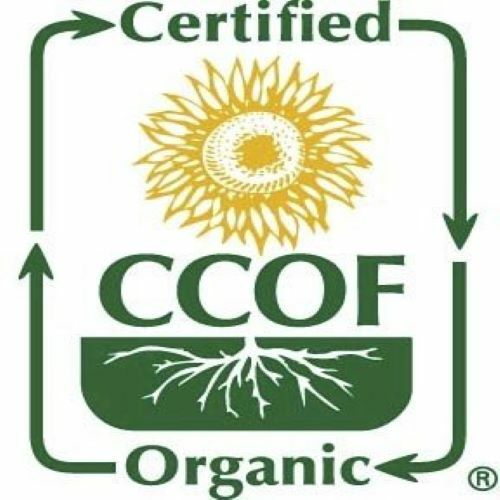 McCabe Organic Peeled Mung Bean, 3lbs, USDA & CCOF Organic Certified gallery