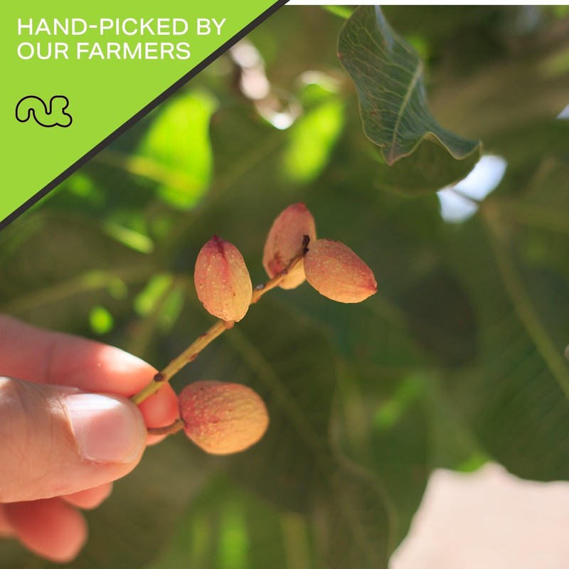 - Freshly Roasted & Salted California Pistachios (48oz - 3 LB) Packed Fresh i... gallery