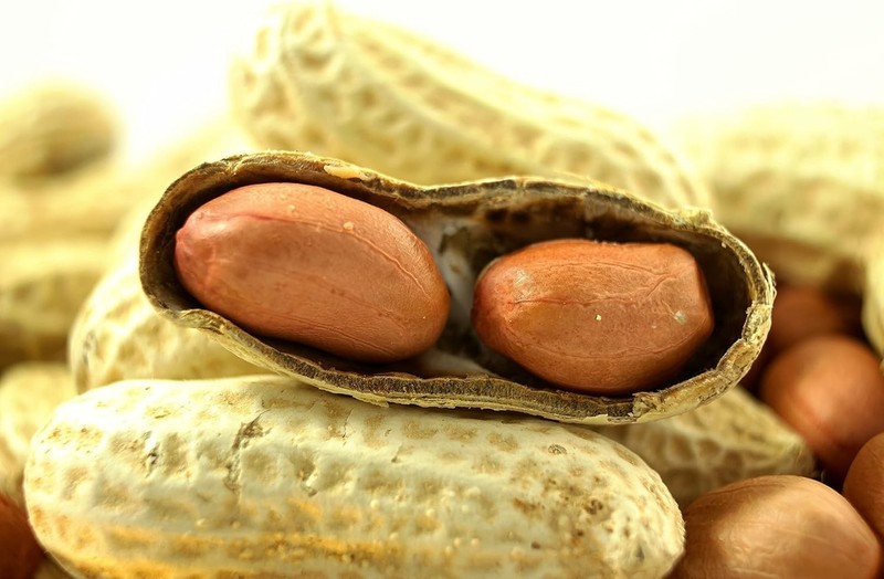 Peanuts In-Shell for Squirrels, Blue Jays & Wildlife 25 LB Bulk Bag Hand-Picked gallery