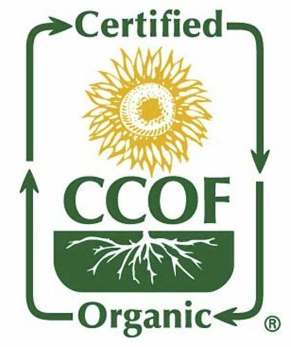 McCabe ORGANIC Roasted & Unsalted Pumpkin Seeds, 8oz, USDA & CCOF Organic gallery