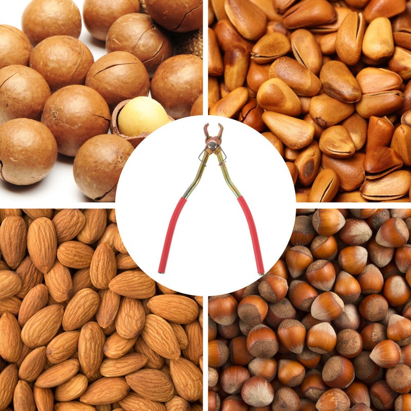3 Pcs Handheld Nut Opener Pistachio Opener Pine Nut Clip Snack Tool Almond gallery