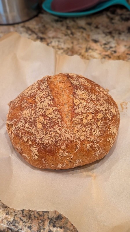 Ancient Gluten Free Sourdough Starter | 240+ Year San Francisco Culture gallery