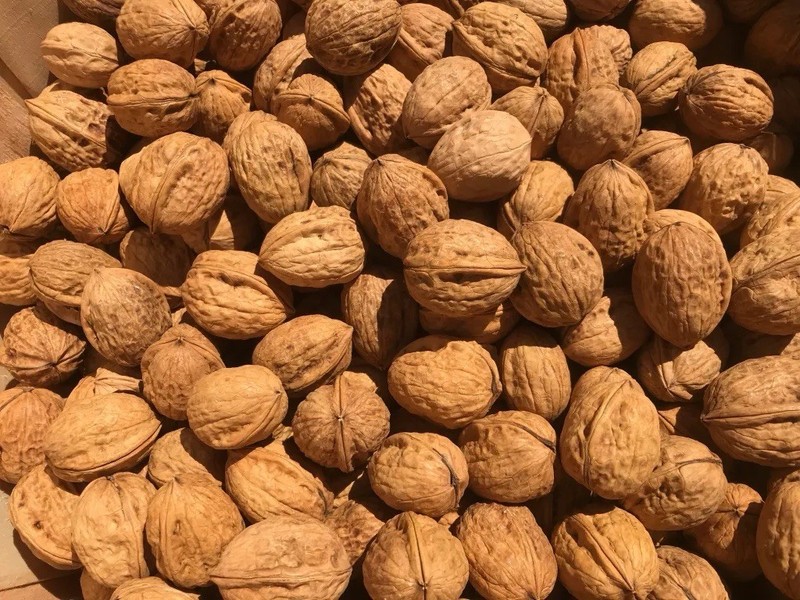 English Walnuts Crop of 2025 In Shell Per Pound 1 Pound Bag
