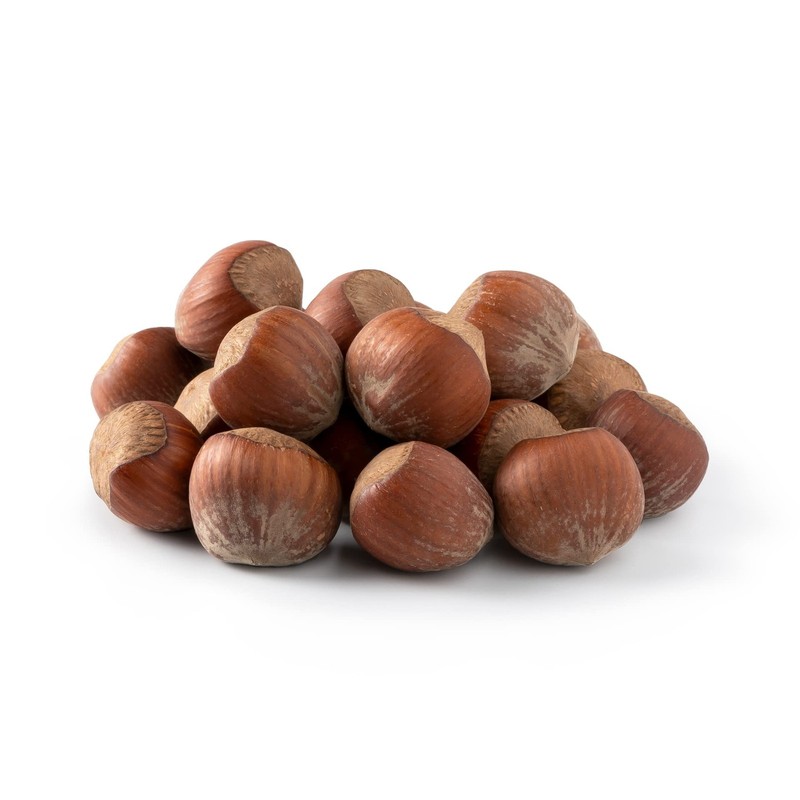 NUTS U.S. Oregon Hazelnuts In shell | Whole, Raw and Unsalted | No Added Fla…