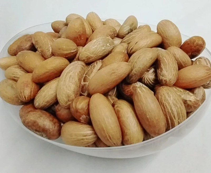 Whole Betel Nut – Nuts & Seeds Food Product, Contains Tree Nuts (Allergen)