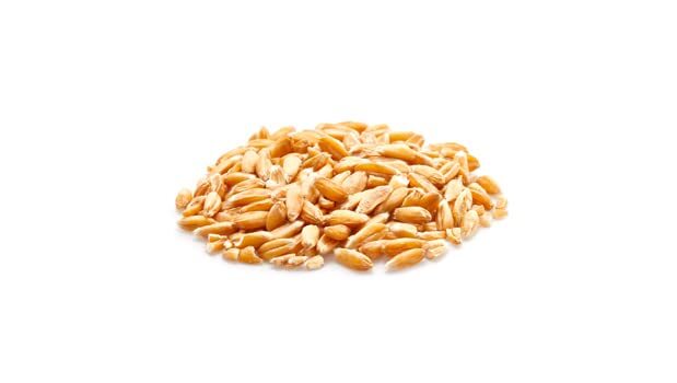 Yupik Organic Spelt Kernels 2.2lb Non-GMO Kosher Vegan Raw Hulled Grains gallery