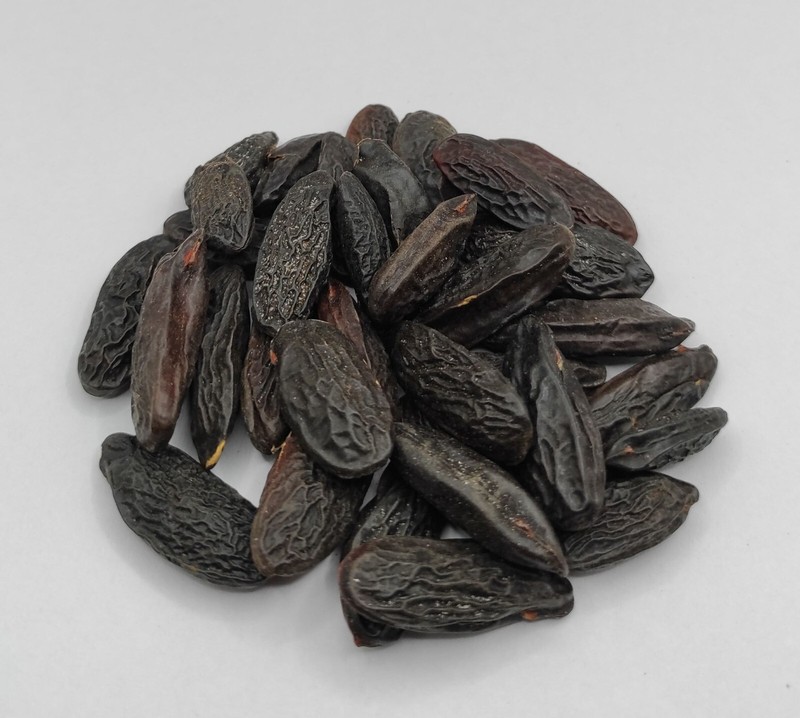 Dried Tonka Beans Whole Class A - 950 Grams (33.5 oz) Dipteryx odorata gallery