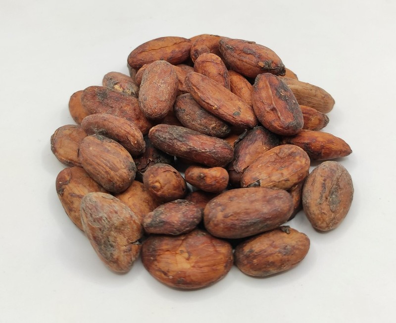 Raw Cacao Beans 85g(3 oz) - 1.95Kg(68.8 oz) Theobroma Cacao gallery