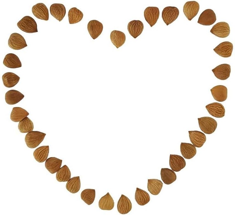 Natural Bitter Apricot Kernels, Organic USDA Certified Bitter Apricot gallery