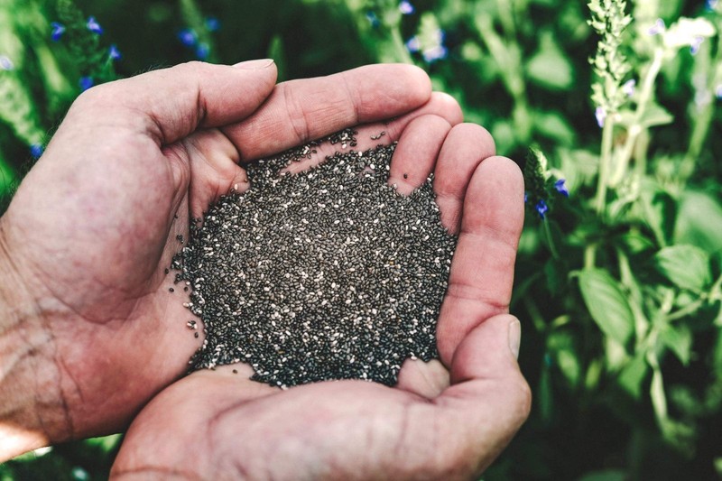 Whole Raw Black Chia Seeds 10 lb - USA Grown, Non-GMO, Sustainable Superfood gallery
