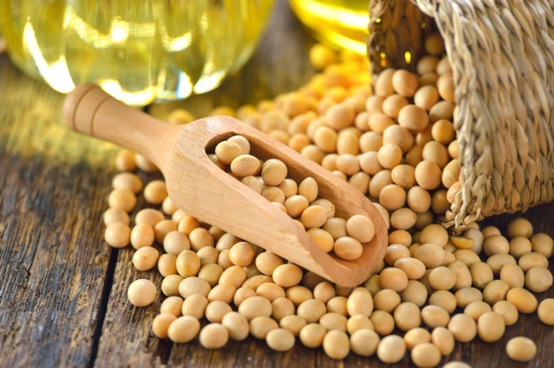 Jayone Non-GMO USA Soybeans for Tofu Soymilk Vegetarian Protein 4lb. (64 oz)