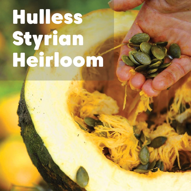 Wilderness Poets, Organic Heirloom Pumpkin Seeds Styrian Variety, No Shells,... gallery
