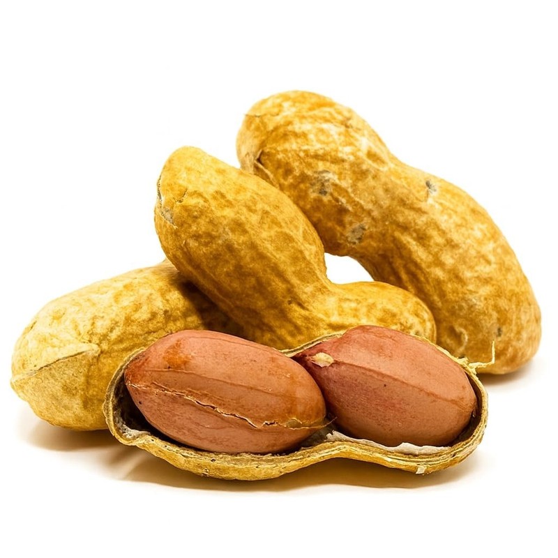 Sky | Grown, Raw Peanuts in Shell for Squirrels, 2.5lb | Jumbo Unsalted Pea... gallery