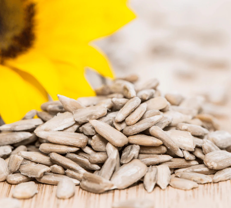 ORGANIC SUNFLOWER SEEDS NON GMO UNSALTED - BY FOOD TO LIVE gallery