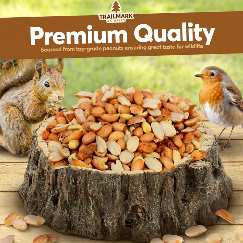 11 LB - Raw Shelled Peanuts for Squirrels, Out of Shell Peanuts for Birds gallery