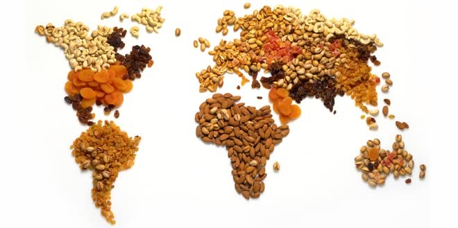Dried Soybeans (Soynuts) Roasted Unsalted, 14 Oz., Kosher gallery