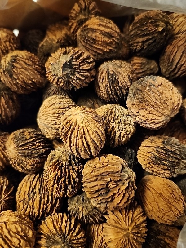 NEW 30 Lbs Black Walnuts hulled, in shell fresh harvest 2025, GA Non GMO ORGANIC gallery