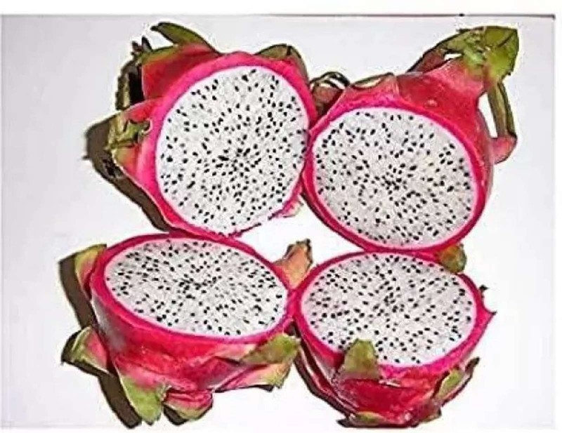 Dragon Fruit Seeds Sweet Pitaya Hylocereus Undatus Tropical Fruit Garden Seed gallery