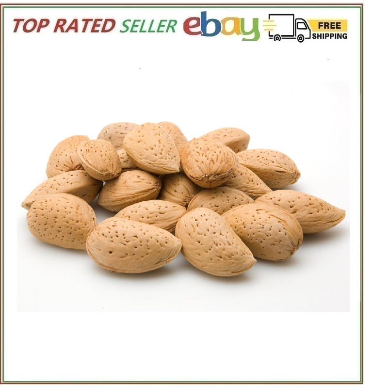 Jumbo Almonds In Shell 5 lbs Premium Quality Raw Unsalted Snack