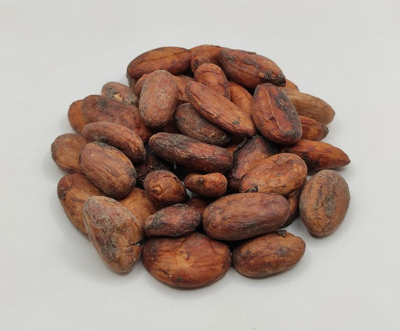 Raw Cacao Beans 85g(3 oz) - 1.95Kg(68.8 oz) Theobroma Cacao gallery