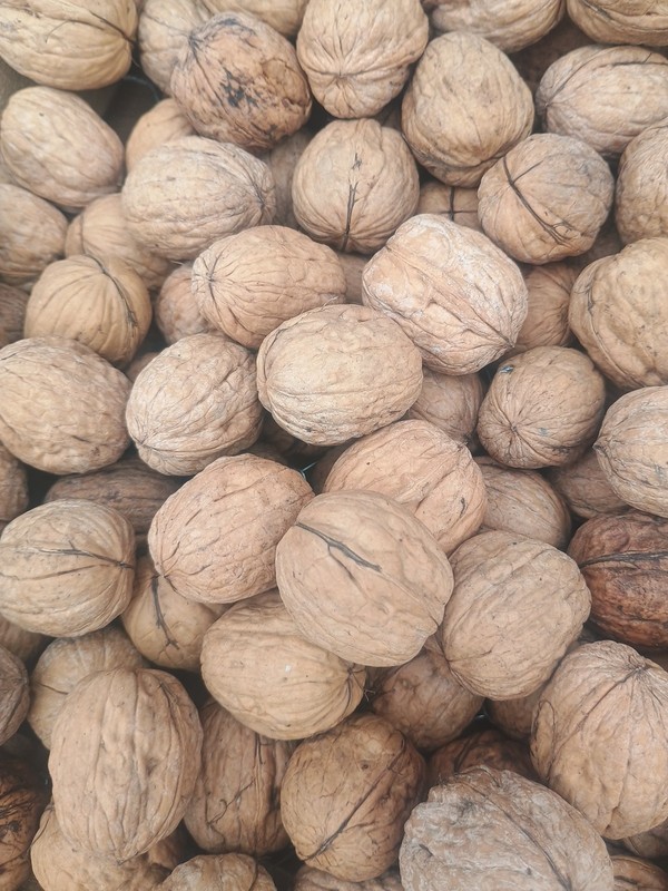 2 Lb Bags Of 100% Organic Hand Gathered Walnuts From California gallery