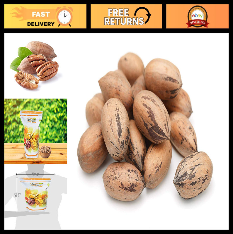 Premium Raw Fresh Pecans in Shell – 4.5 Lbs Bulk Nuts for Baking & Snacking